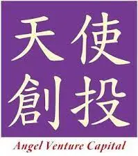 Angel Venture Capital
