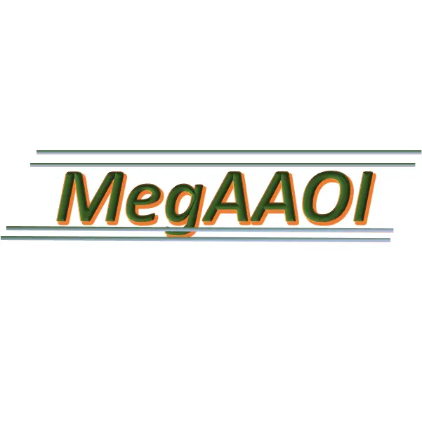 MEGAAOI CO., LTD.