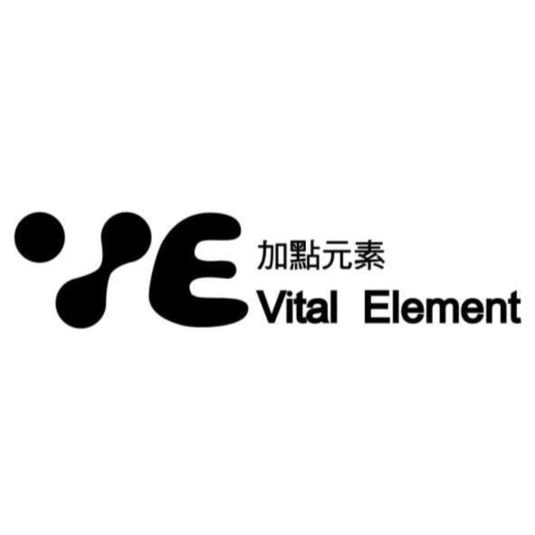 VITAL ELEMENT SYSTEM COMPANY
