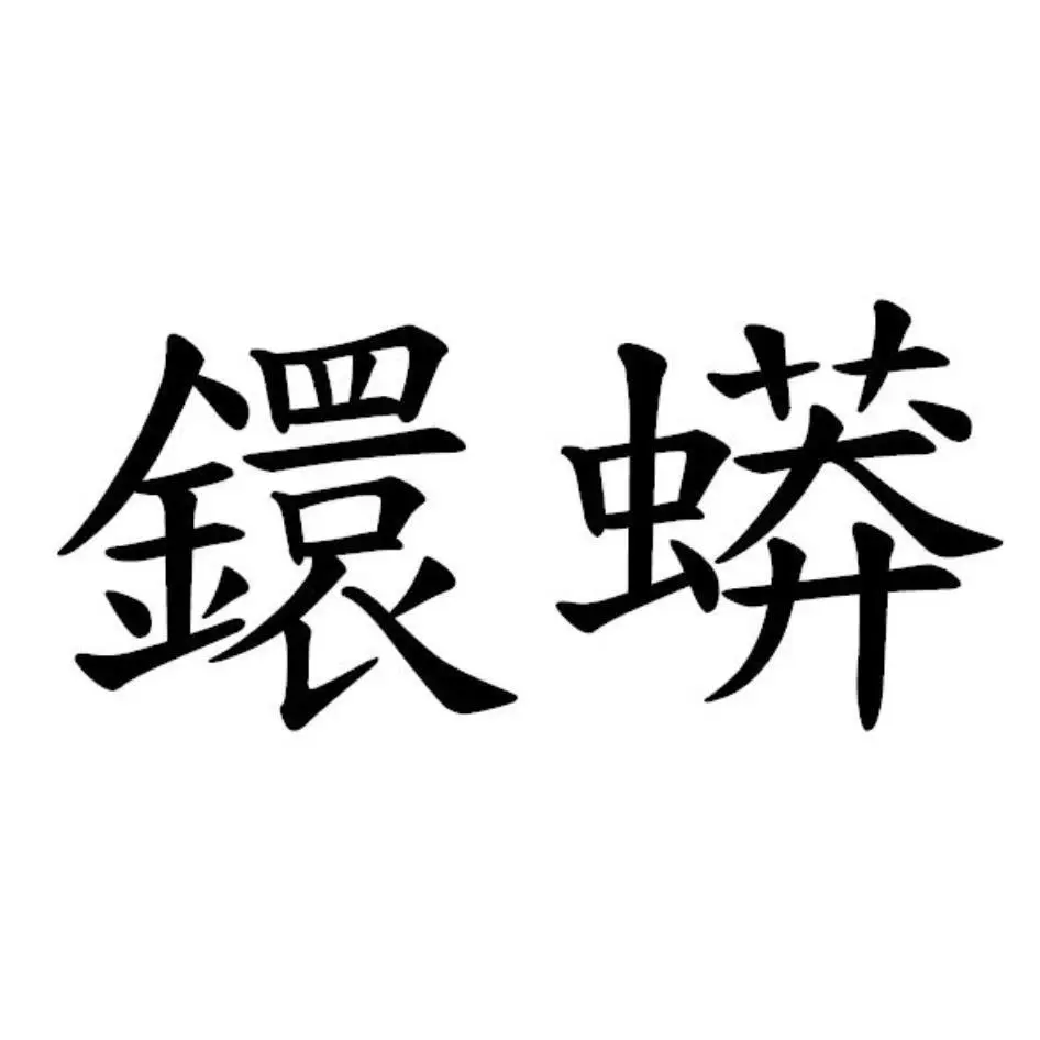 鐶蟒金融科技有限公司