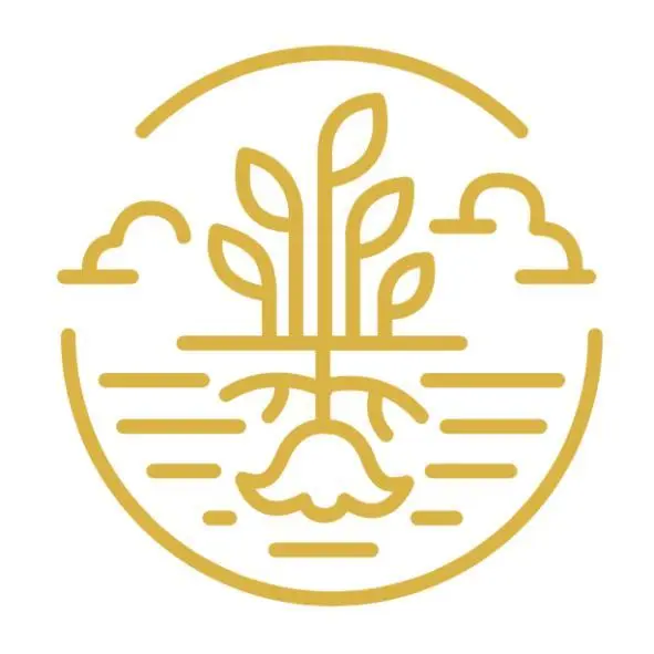 那顆炭國際有限公司