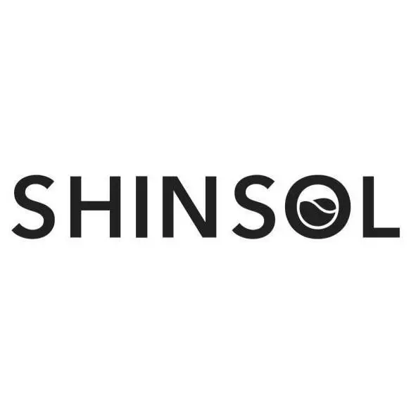 新碩先進化工股份有限公司