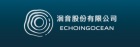 洄音股份有限公司
