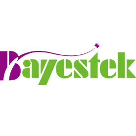 Bayestek Corporation