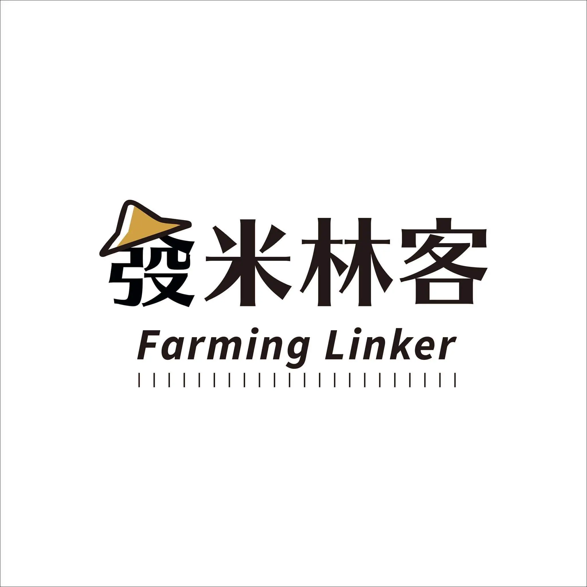 大器整合股份有限公司