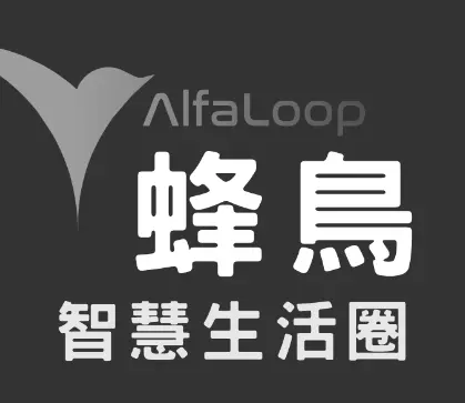 蜂鳥金融科技股份有限公司