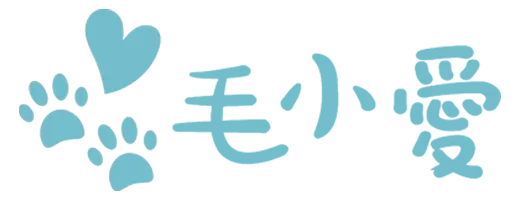 可艾創意科技股份有限公司