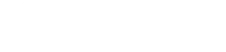 卡維斯股份有限公司