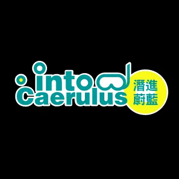 蔚藍視界股份有限公司